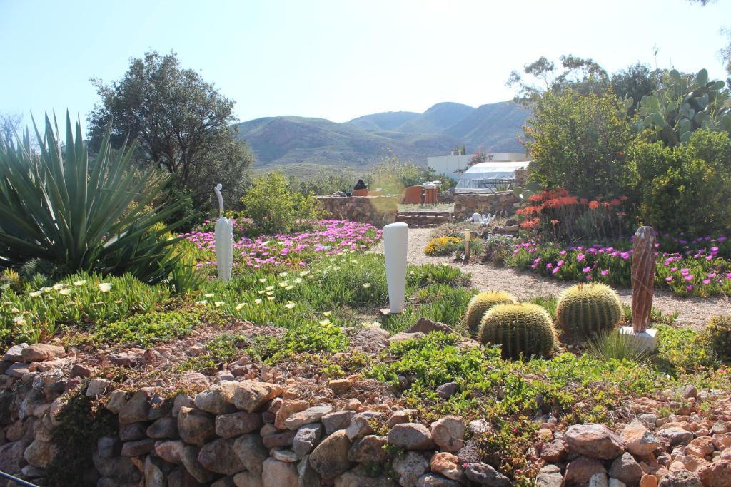 El Jardín de los Sueños Rodalquilar Exterior foto