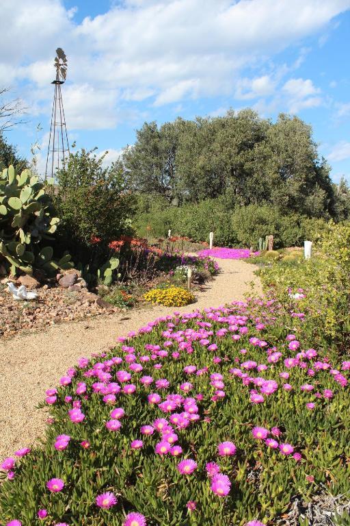 El Jardín de los Sueños Rodalquilar Exterior foto
